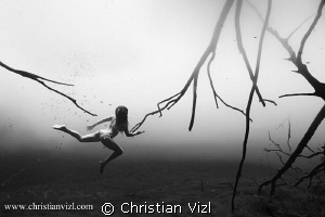 "Running wild" by Christian Vizl 